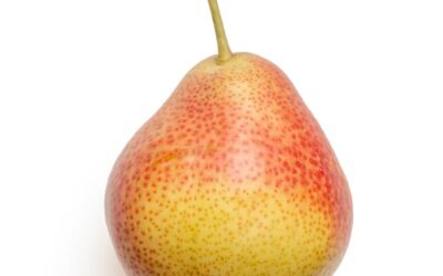 L’Ue cambia le regole durante la raccolta della frutta