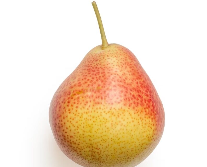 L’Ue cambia le regole durante la raccolta della frutta