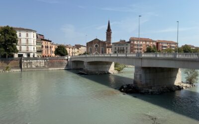 Confcommercio contro il consigliere che ha deriso i negozi che hanno chiuso 