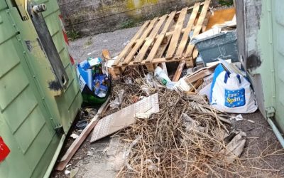 La pulizia e il decoro di Verona dipendono anche da noi