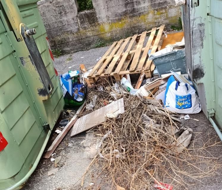 La pulizia e il decoro di Verona dipendono anche da noi