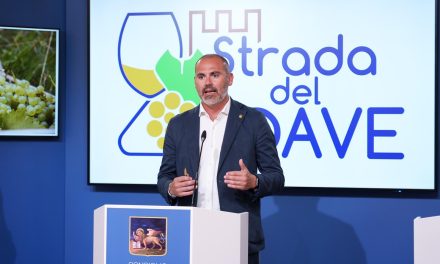 Promozione internazionale del vino veronese