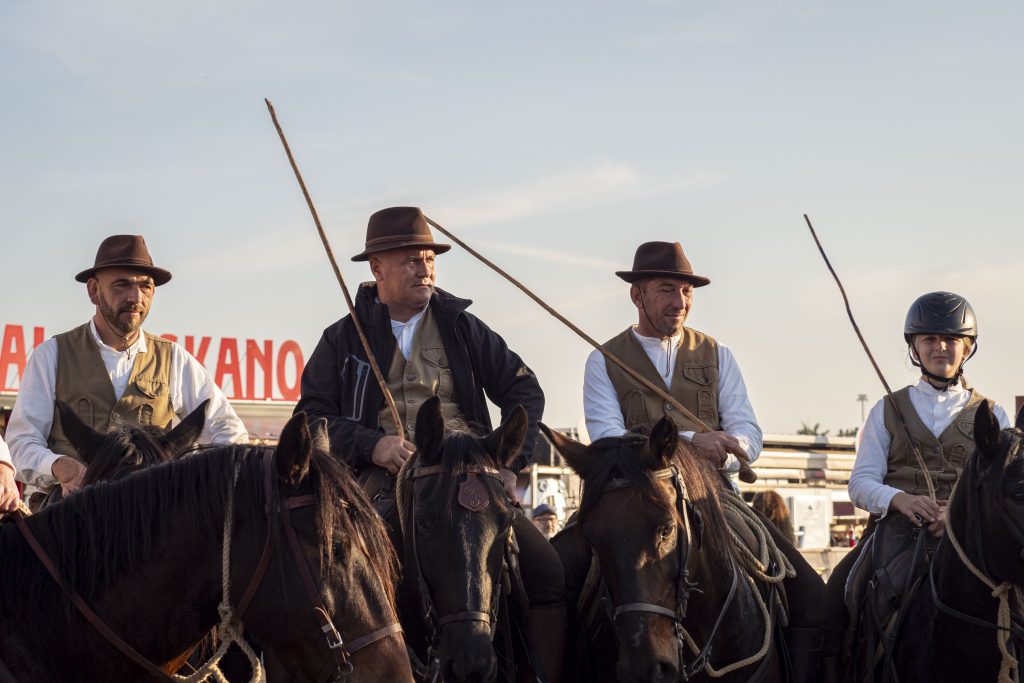 Fiera Cavalli dal 6 al 9 novembre 1 Fieracavalli2024 Veronafiere EnneviFoto 045