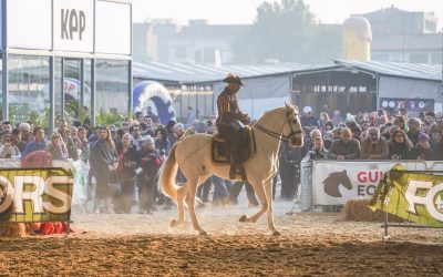 Fiera Cavalli dal 6 al 9 novembre