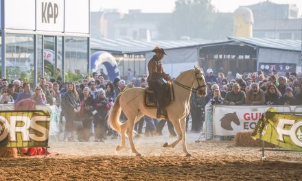 Fiera Cavalli dal 6 al 9 novembre