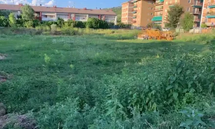 Il Ministero smentisce Barbara Bissoli sullo studentato di via Sacchi