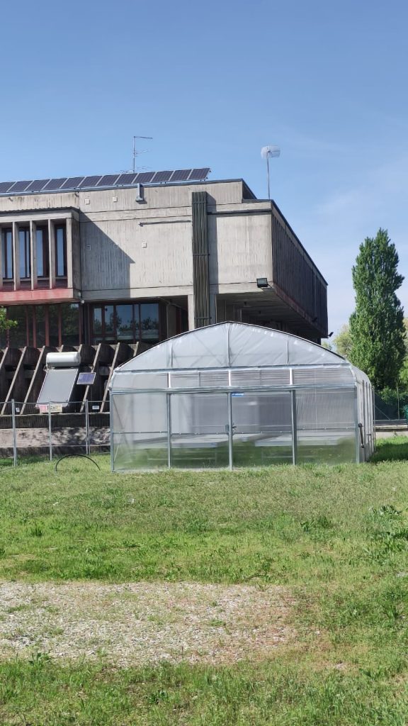 Nuova serra scuole Manzoni Povegliano
