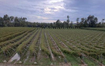 Tromba d’aria del 1° settembre: la Vaja della Pianura