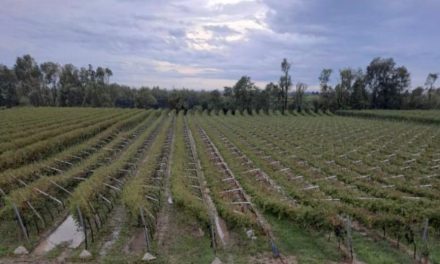 Tromba d’aria del 1° settembre: la Vaja della Pianura