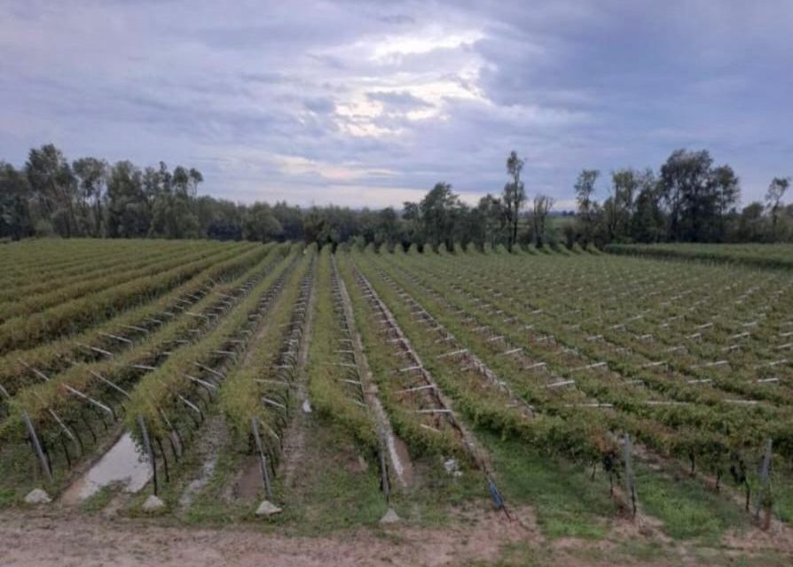 Campagna devastate dal maltempo