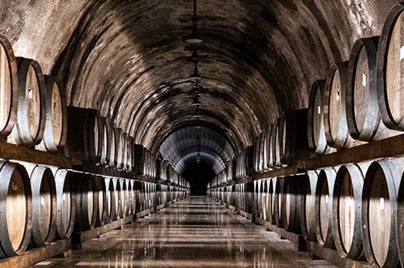 PHOTO 2025 09 11 10 18 05 2