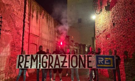 Remigrazione. Proposta concreta