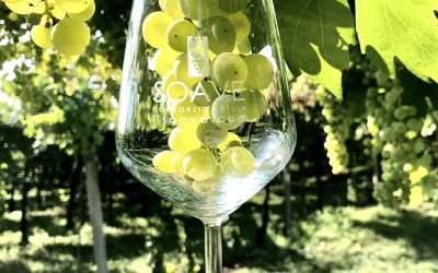 3 bicchieri per 7 aziende di Soave da Gambero Rosso