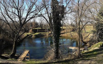 10 progetti per la transizione verde di Fondazione Cariverona