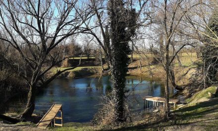 10 progetti per la transizione verde di Fondazione Cariverona