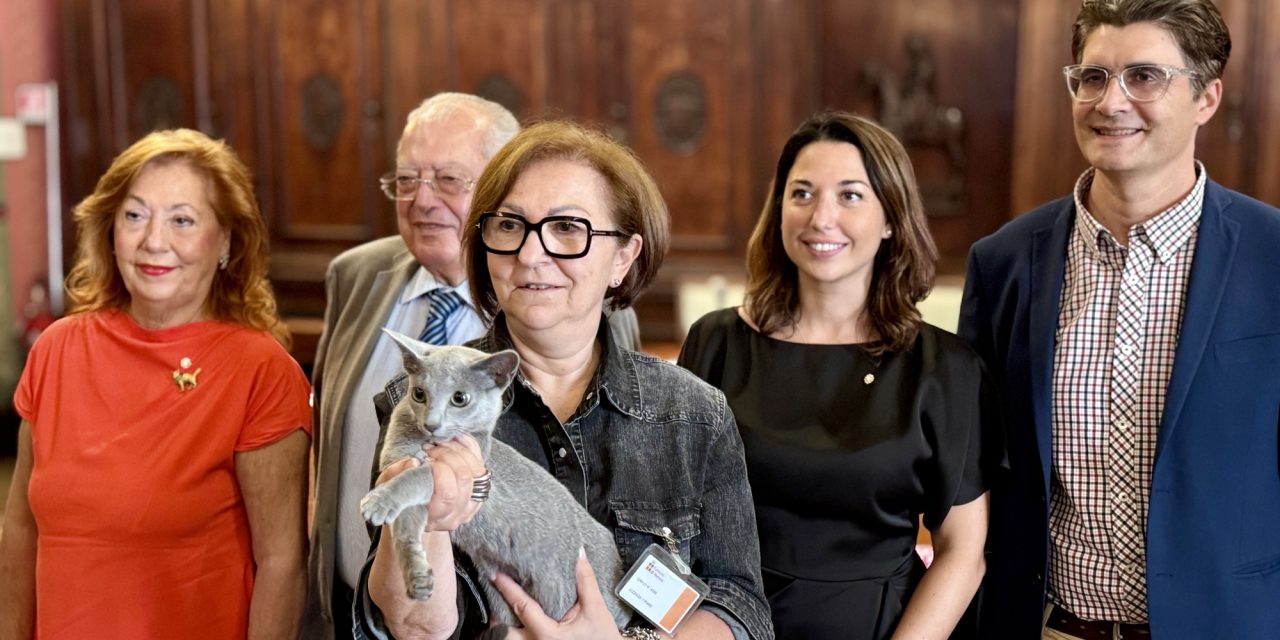 Centinaia di gatti protagonisti a Verona: torna l’Esposizione Internazionale Felina