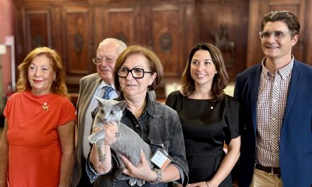 Centinaia di gatti protagonisti a Verona: torna l’Esposizione Internazionale Felina
