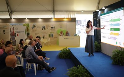 Fiera del Riso, non solo risotto. In programma convegni, musica e spettacoli