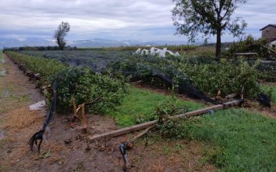 Dopo il maltempo di lunedì la conta dei danni