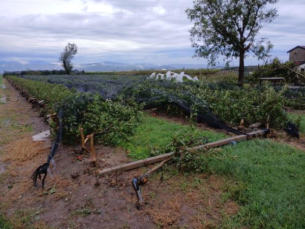 Dopo il maltempo di lunedì la conta dei danni