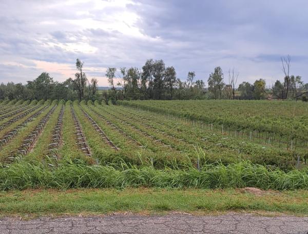 tromba d aria 2 w600 h457