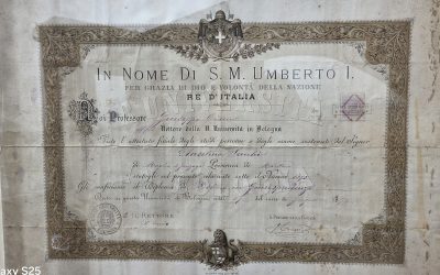 A Moglia non hanno tempo da perdere in pinzillacchere