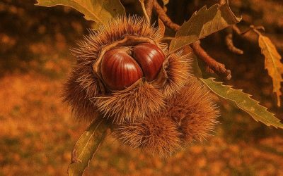 Piccole DOP alimentari e grandi sfide