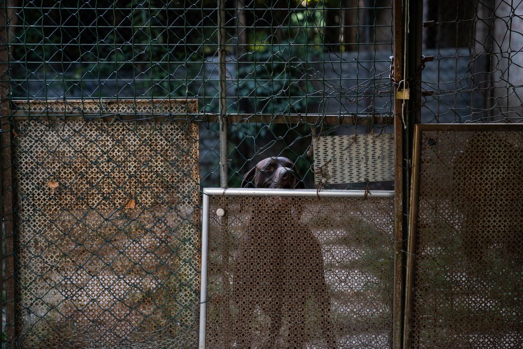 DSC00133 2.jpg compressed