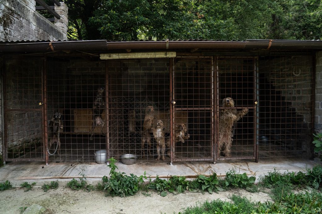 DSC00254 2.jpg compressed