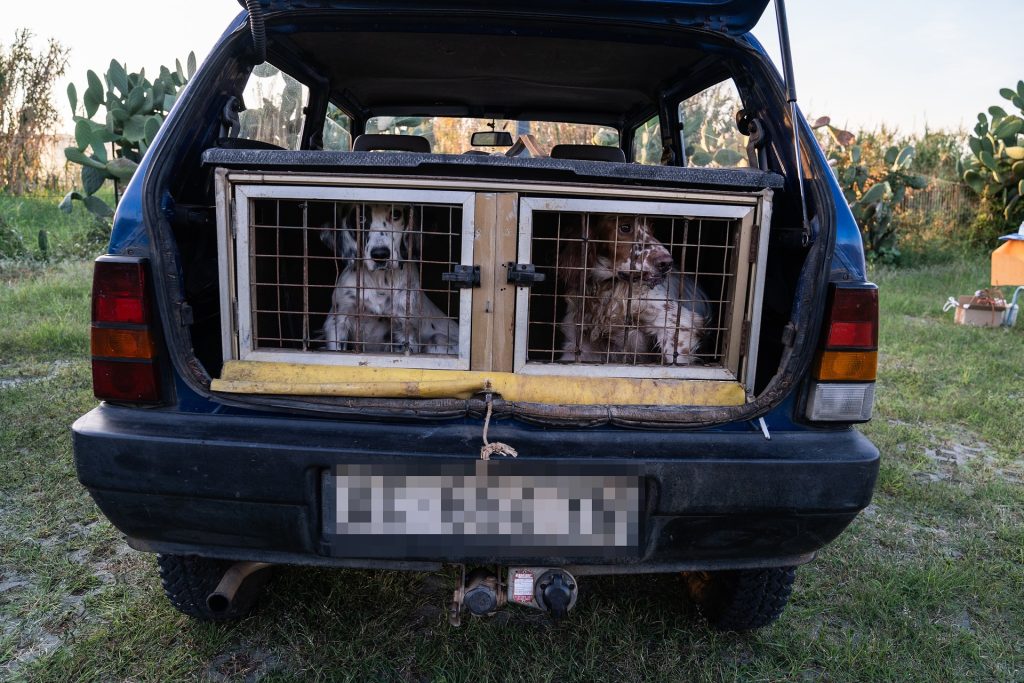 DSC00269.jpg compressed