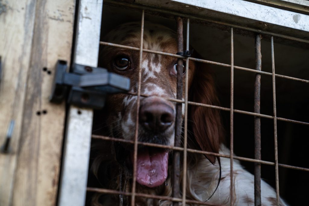 DSC00279.jpg compressed