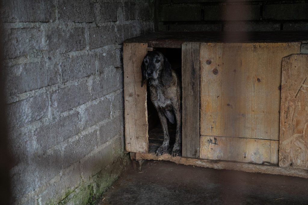 DSC00291 2.jpg compressed