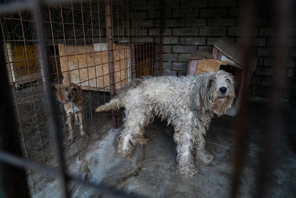 DSC00332.jpg compressed