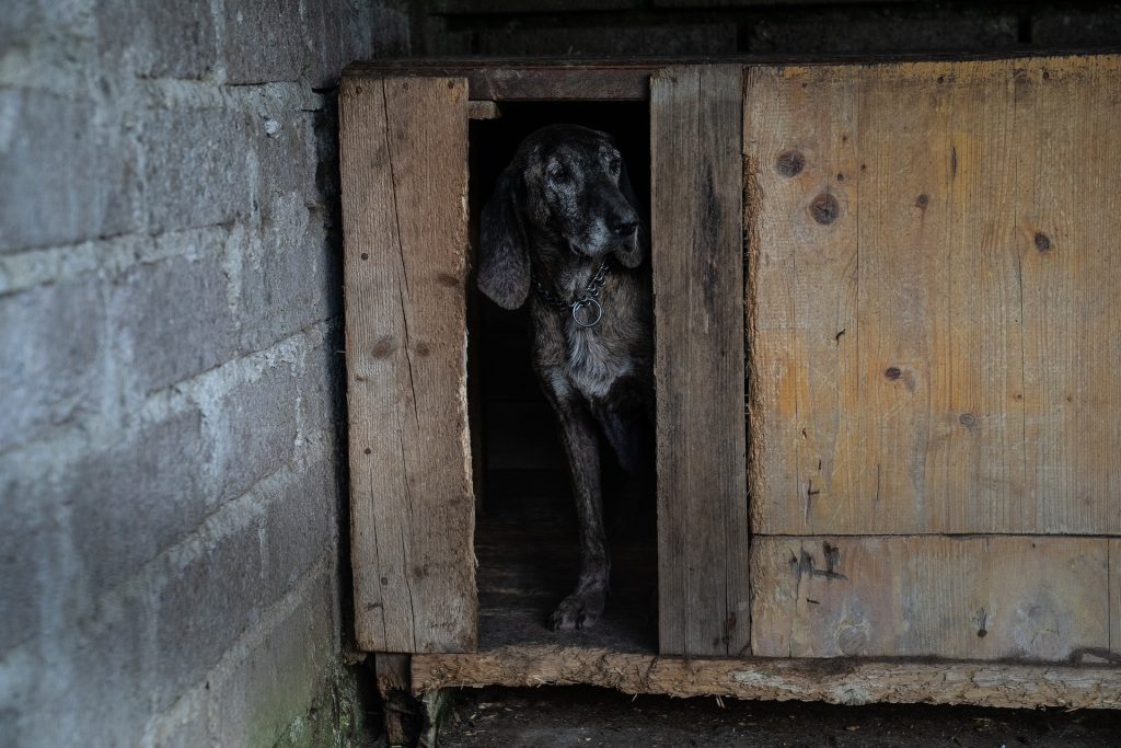 DSC00344 2.jpg compressed