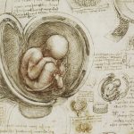 Leonardo da Vinci e le Indie