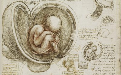 Leonardo da Vinci e le Indie