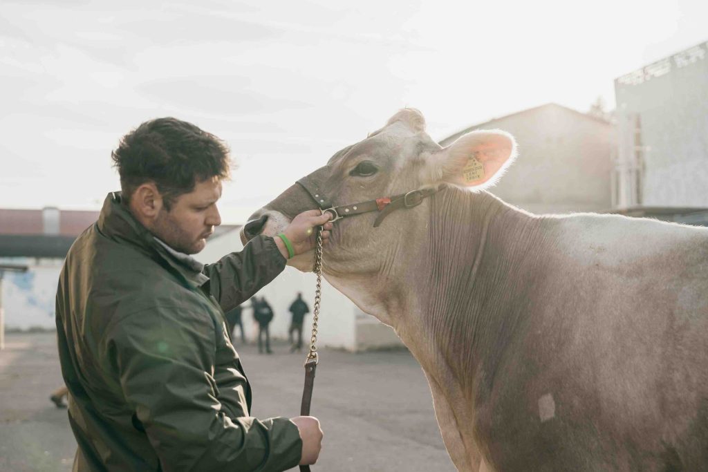 Fieragricola 2026 punta sulla formazione per il mondo agricolo 3 Fieragricola2024 EnneviFoto Veronafiere 1MM3155