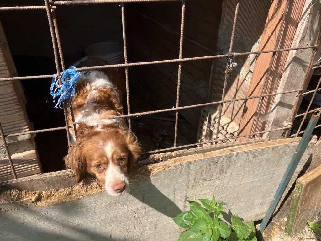 IMG 1122.png compressed