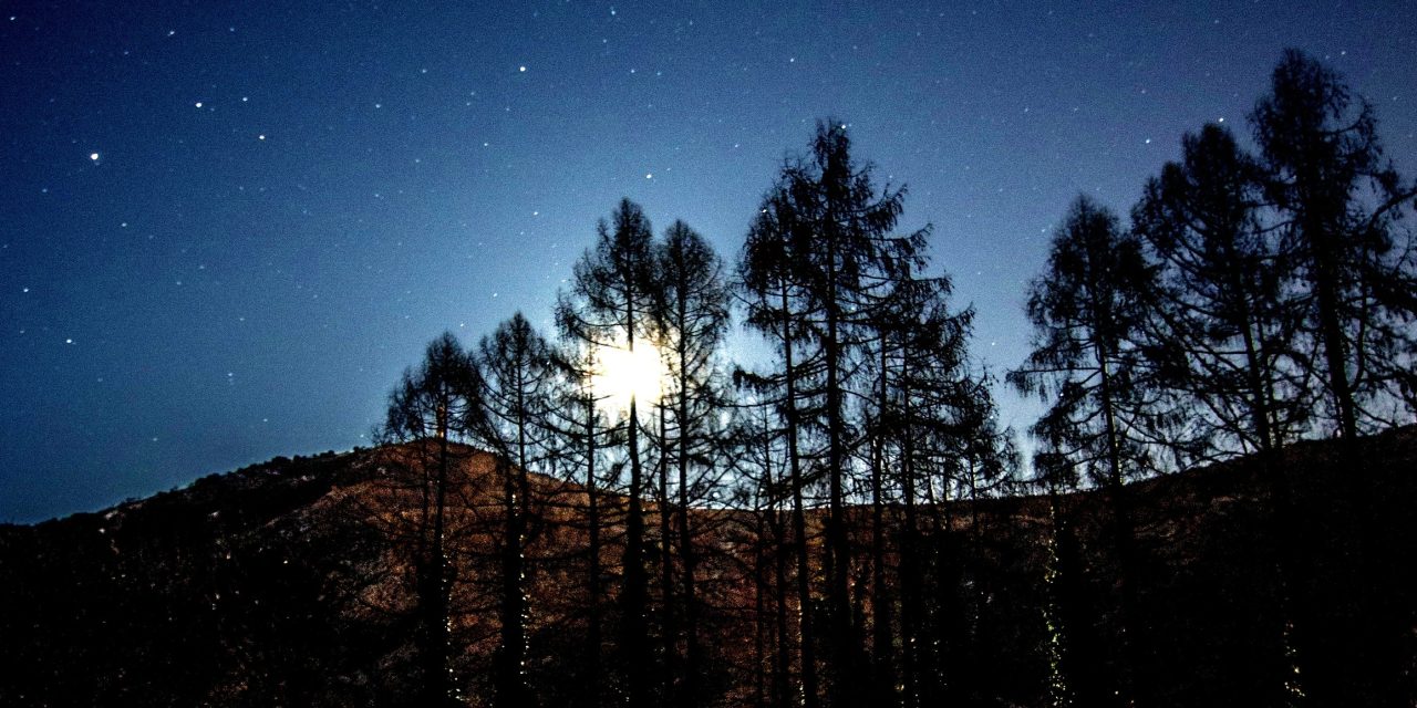 Lessinia da vedere (e da assaggiare!): undici escursioni sotto il plenilunio