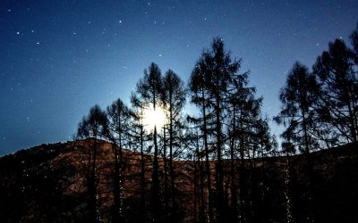 Lessinia da vedere (e da assaggiare!): undici escursioni sotto il plenilunio