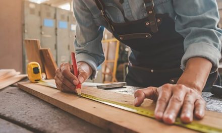 Pmi. Un motore che spinge il Paese oltre l’Europa