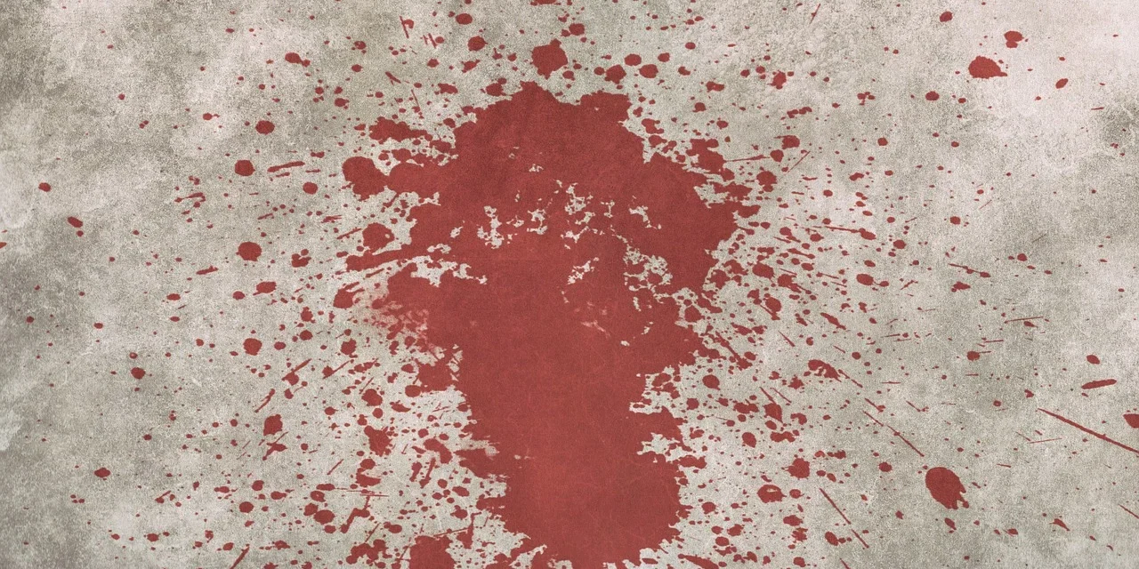 Donna assassinata a Castelnuovo. Arrestato il compagno