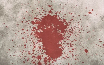 Donna assassinata a Castelnuovo. Arrestato il compagno