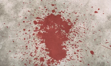 Donna assassinata a Castelnuovo. Arrestato il compagno