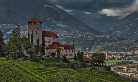 Solo metà degli italiani fa un lavoro che gli piace