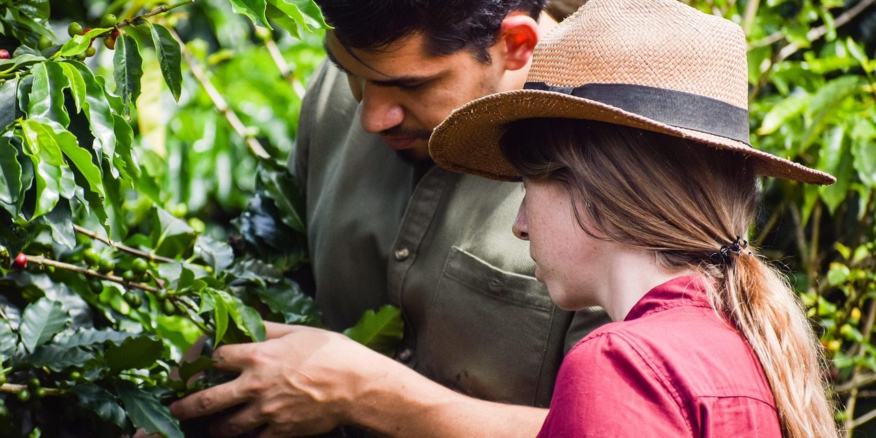 Avepa. 100 milioni in 5 giorni agli agricoltori veneti
