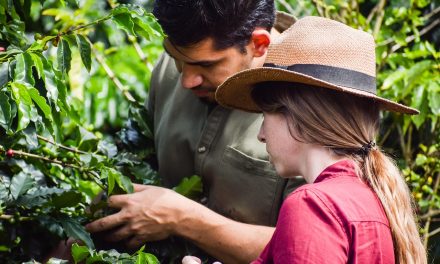 Avepa. 100 milioni in 5 giorni agli agricoltori veneti