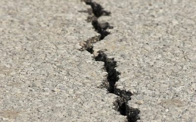 Nella Lega lo scontro fra localismo e sovranismo