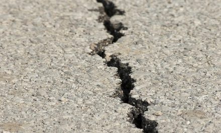 Nella Lega lo scontro fra localismo e sovranismo