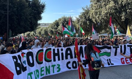 In 8 mila alla manifestazione per la Palestina